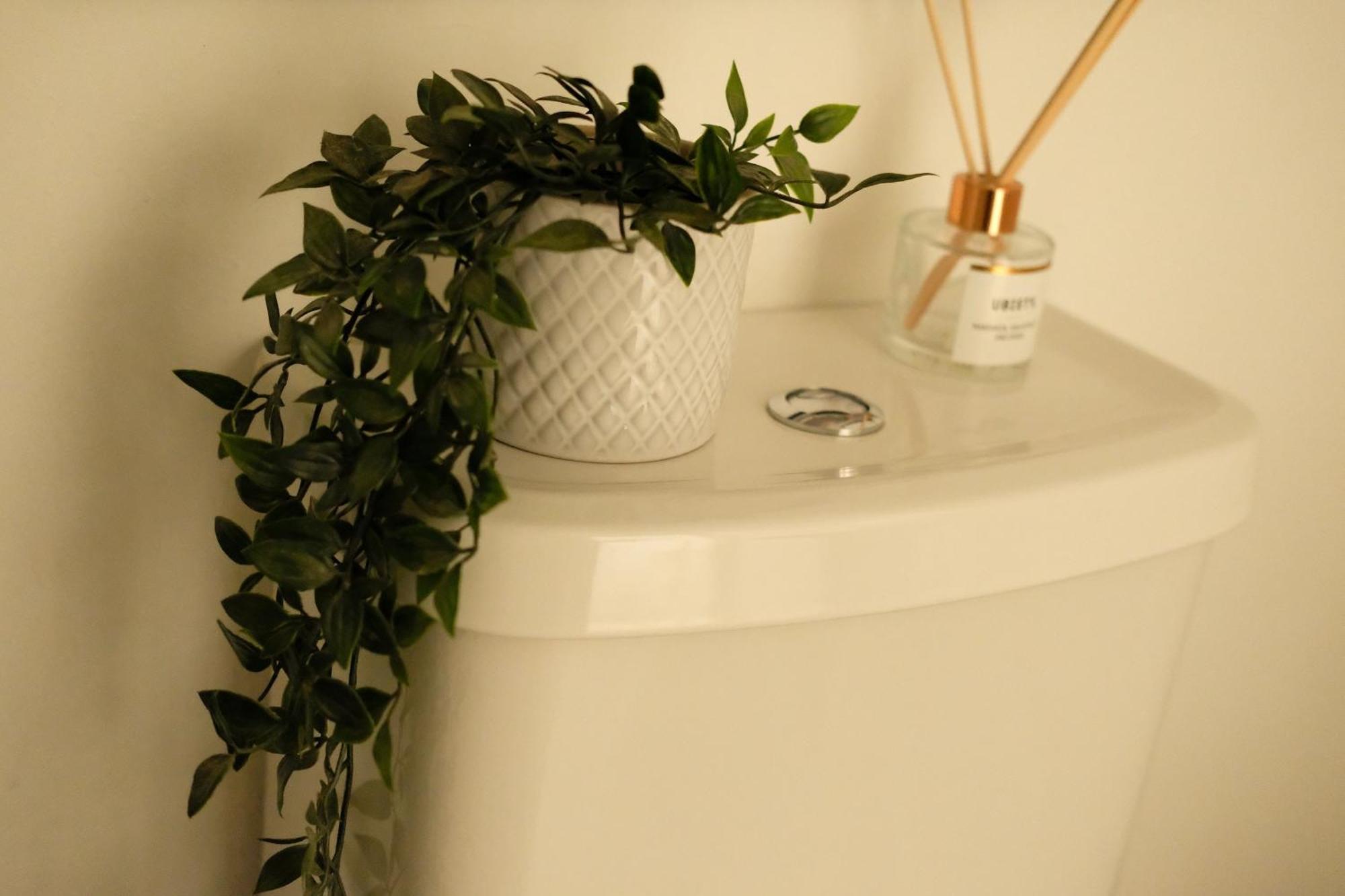 Spacious City Centre Apartment Bath Dış mekan fotoğraf